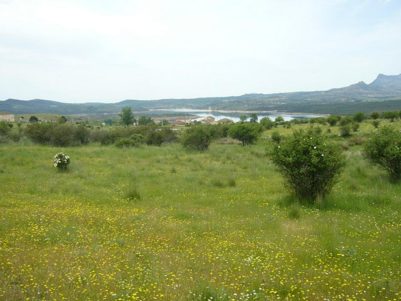 Camping De Cervera De Buitrago Exterior photo